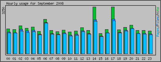 Hourly usage