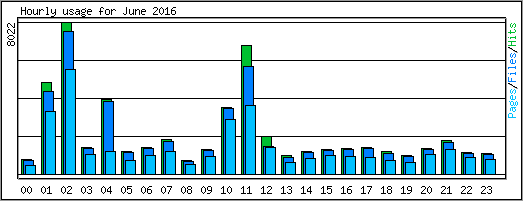 Hourly usage