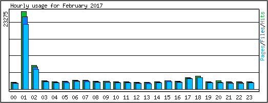 Hourly usage