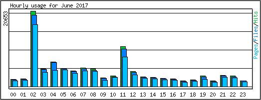 Hourly usage