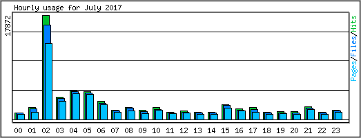 Hourly usage